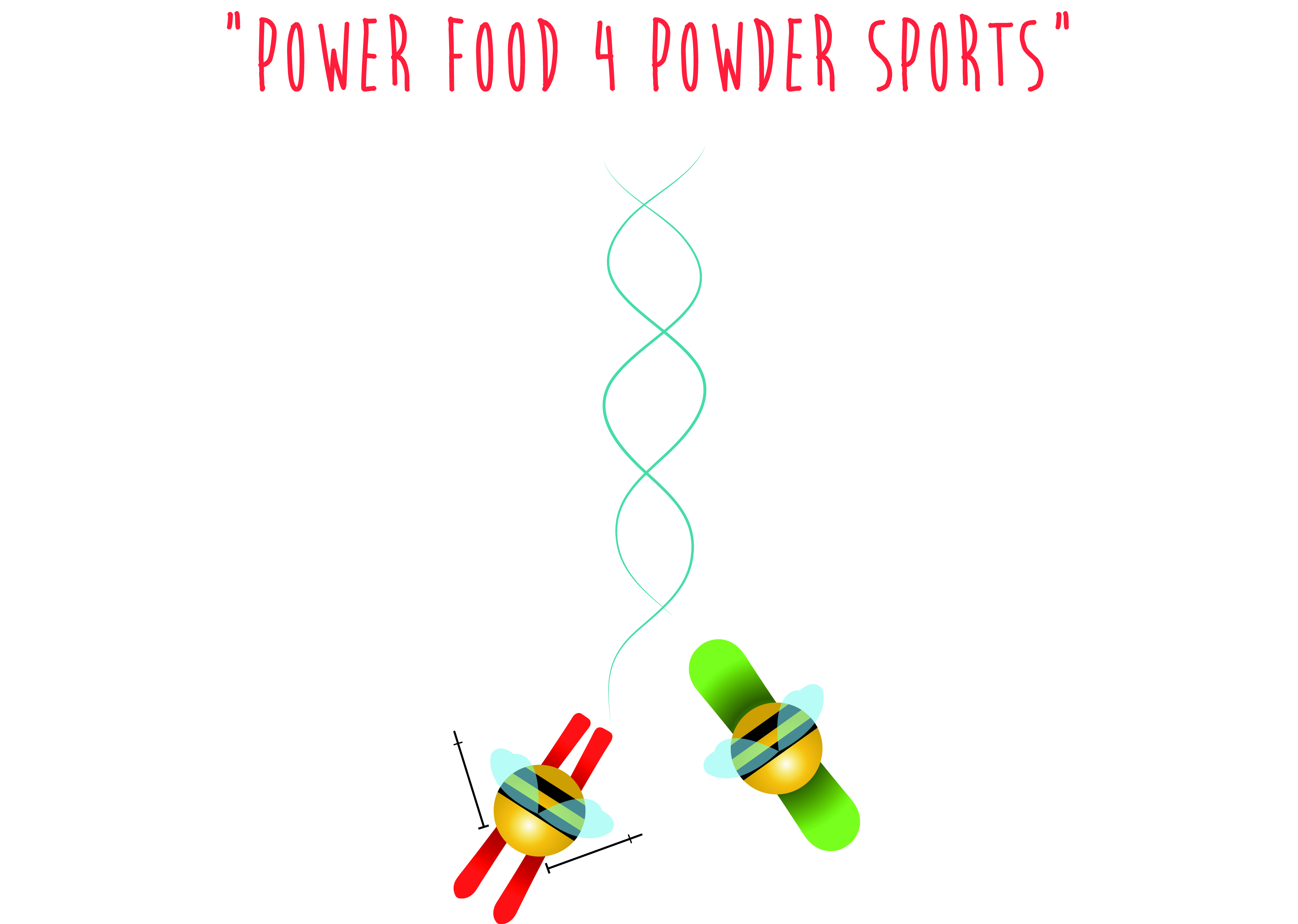 power food, Bee keeping AZ Skischule, Ski school, skipodium